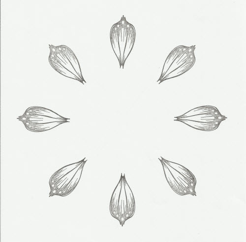 Inkadinkado Stamping Gear Scan - Open Basic