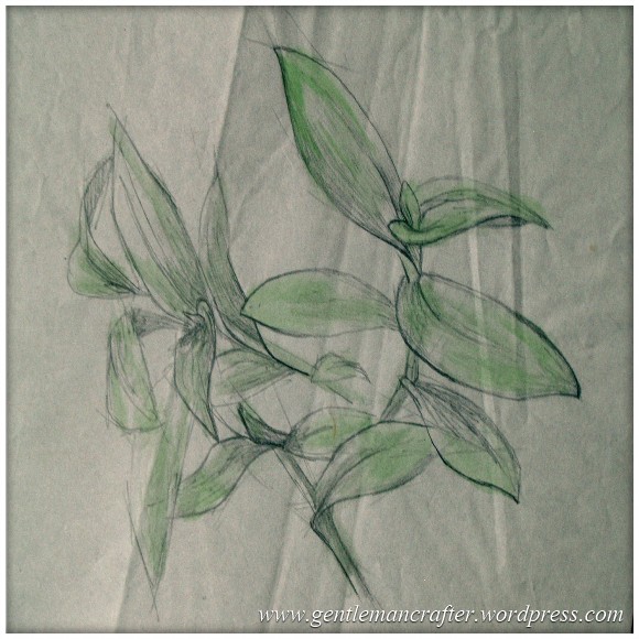 Portfolio Archive - Still Life - Plant