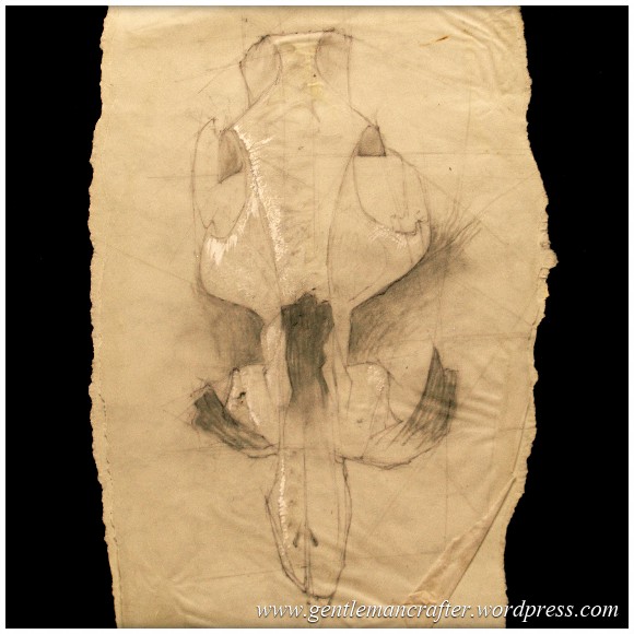 Portfolio Archive - Still Life - Skull