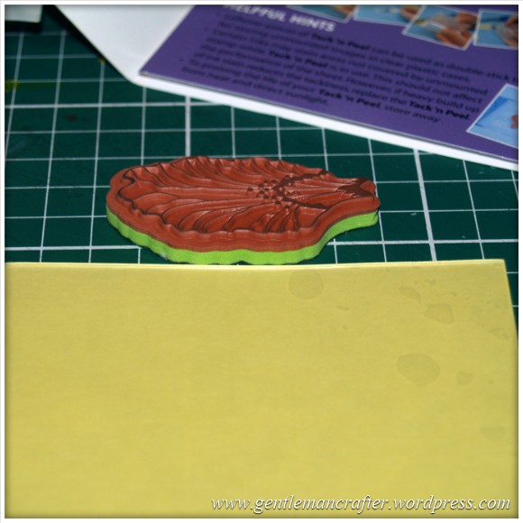 Using Unmounted Stamps With The Inkadinkado Stamping Gear - Depth Check 2