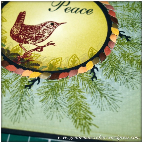 A Bird In The Hand - A Montage Mash Up - 3