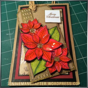 Georgina Ford Poinsettia Stamp Gift Bag (1)