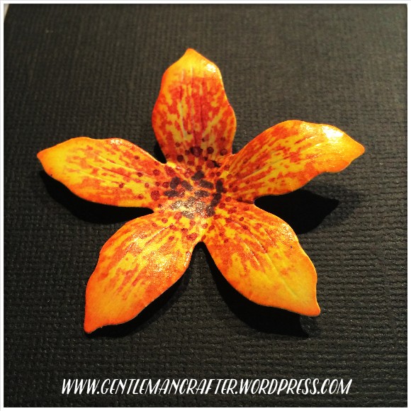 Texture Stamps By John Bloodworth - 8