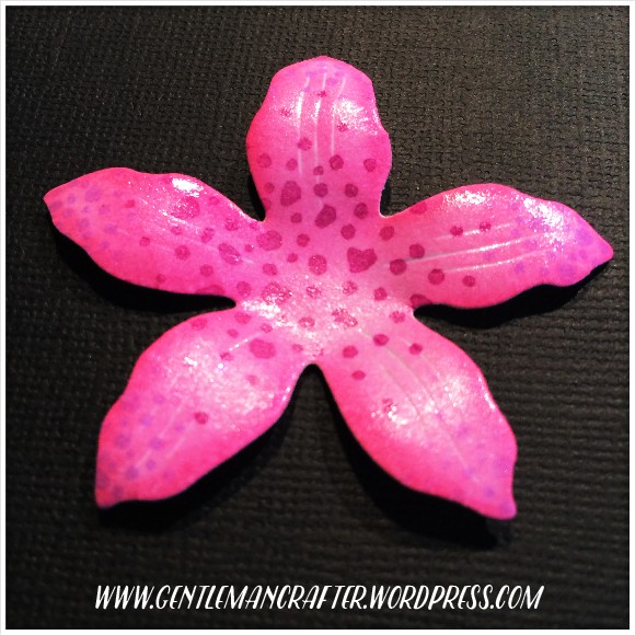 Texture Stamps By John Bloodworth - 9