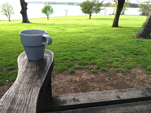 Maisy On The Road 10