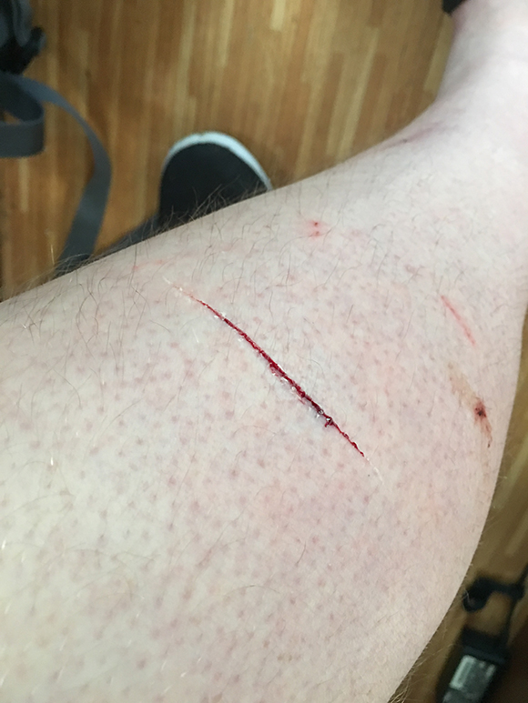 Maisy On The Road Gash