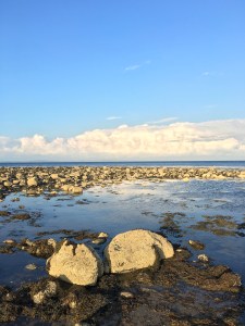 All Counties Craft Challenge Diary