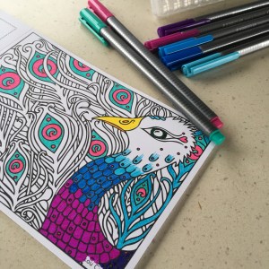All Counties Craft Challenge Colouring Book