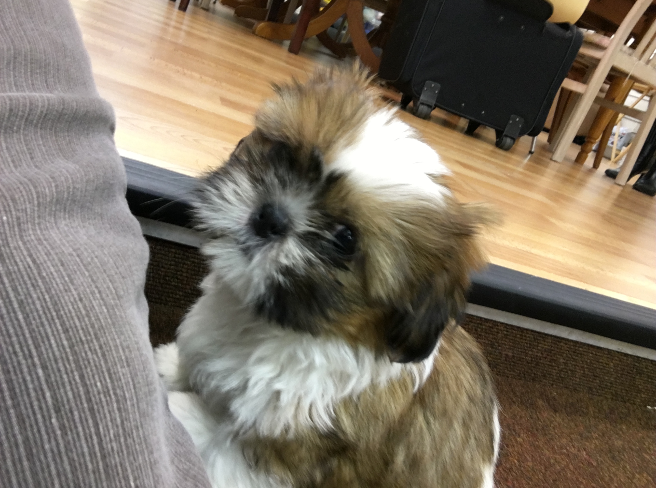 All Counties Craft Challenge