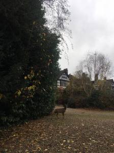 all-counties-craft-challenge-hotel-3