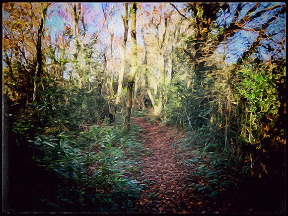 all-counties-craft-challenge-a-winter-woodland-walk