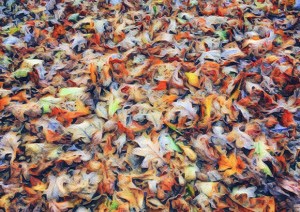 all-counties-craft-challenge-winter-comes-1