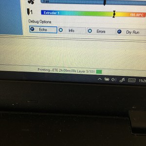 My First 3d Print with the Print Rite CoLiDo Compact 21