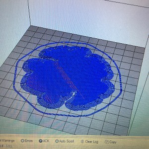 My First 3d Print with the Print Rite CoLiDo Compact 22