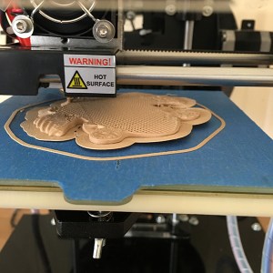 My First 3d Print with the Print Rite CoLiDo Compact 23