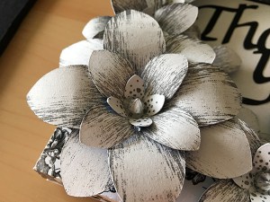 Scan It Saturday 3 3