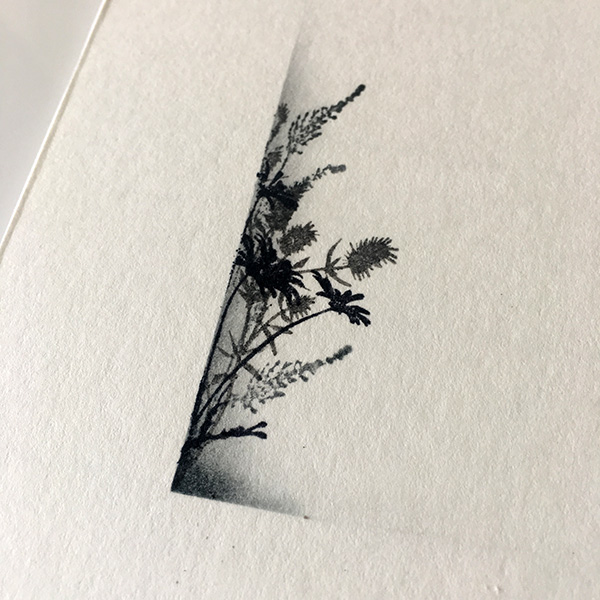 Stamp It Sunday 4 (15)