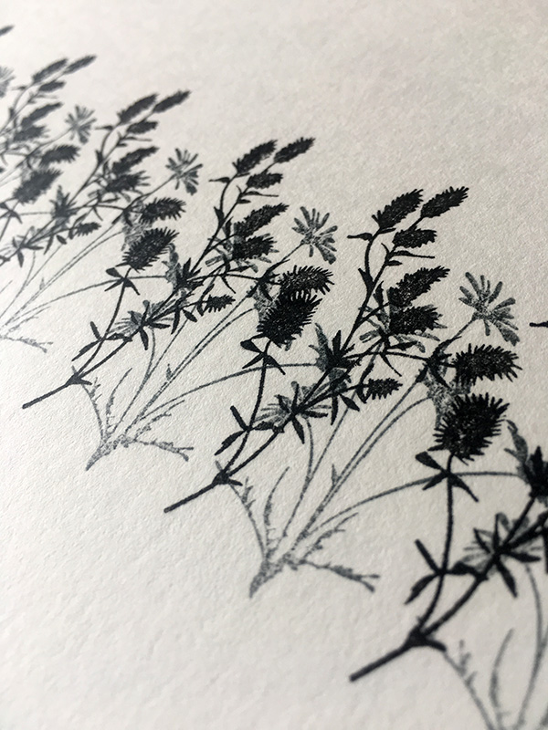 Stamp It Sunday 4 (8)